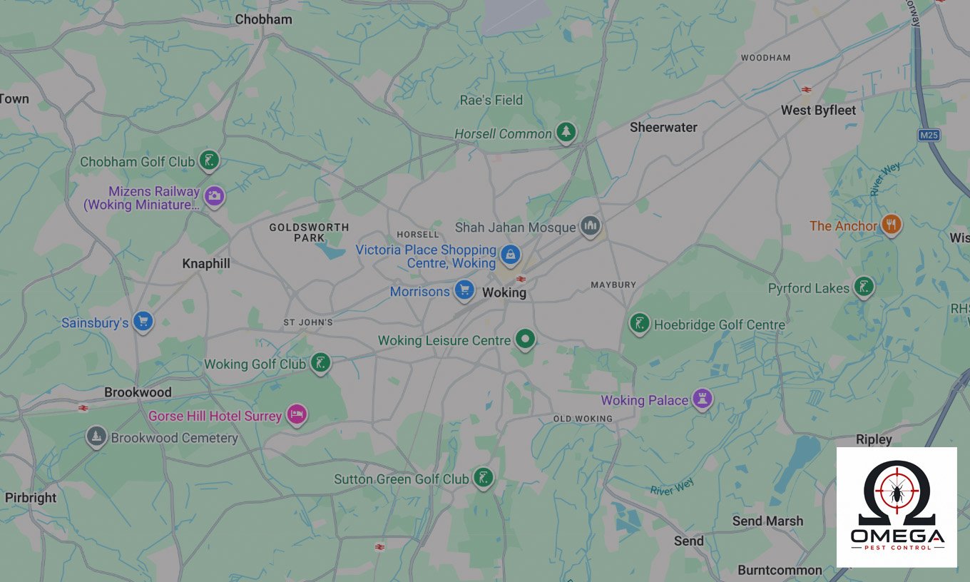 Areas of Woking Omega Rat Pest Control Covers