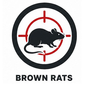 Brown Rat Extermination